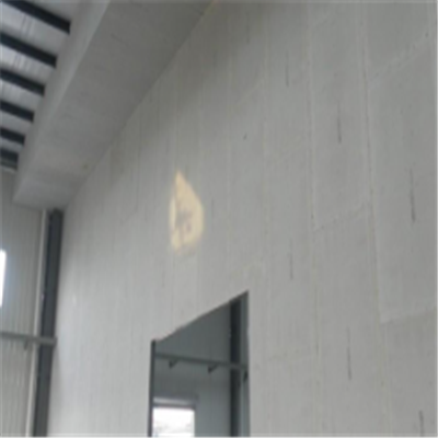 合川宁波ALC板|EPS加气板隔墙与混凝土整浇联接的实验研讨